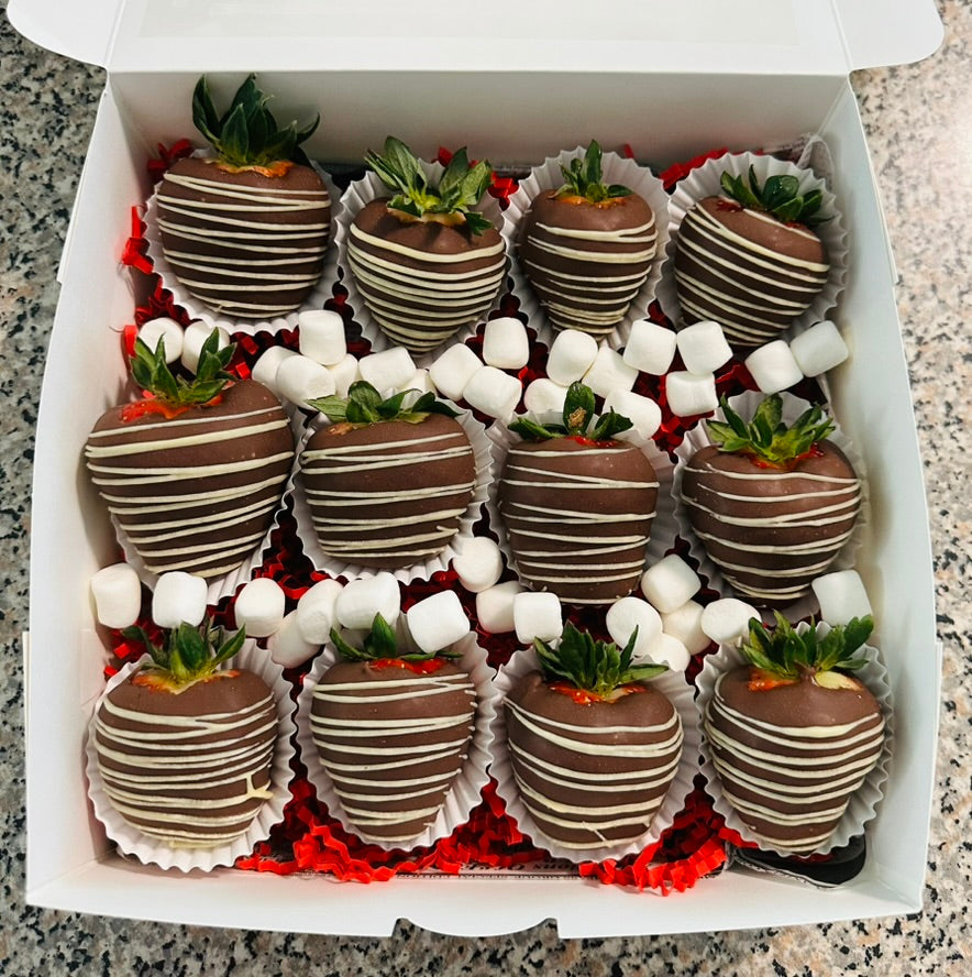 Docena Fresas con Chocolate